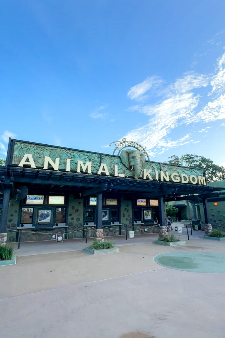 Entrance to Disney’s Animal Kingdom theme park