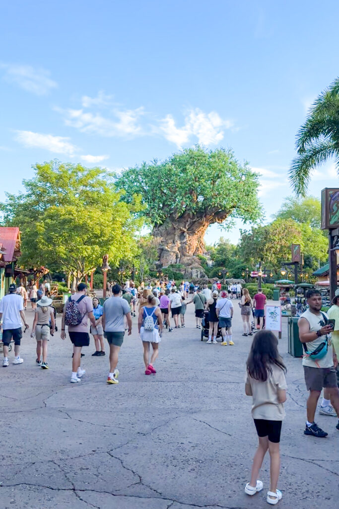 Crowds walking down Discovery Island at Animal Kingdom