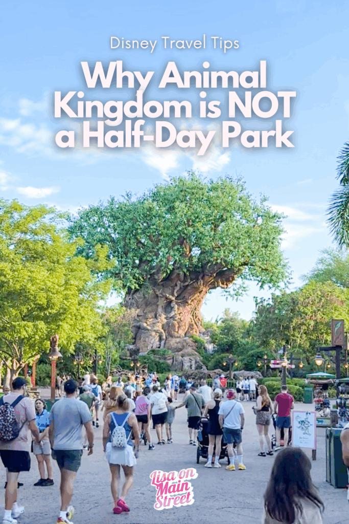 Think Animal Kingdom is just a quick stop at Disney World? Think again! From safaris to shows to world-class dining, here’s why you’ll want to spend the whole day at Disney’s Animal Kingdom.