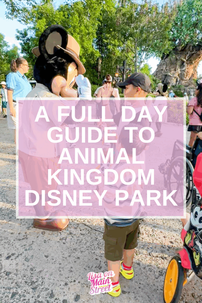 From Pandora to Kilimanjaro Safaris, discover everything that makes Disney’s Animal Kingdom worth a full day. Tips, must-dos, and hidden gems for your next trip!