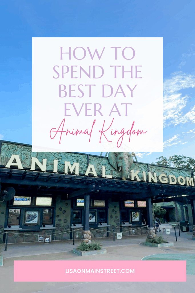 The Magic of a Full Day at Animal Kingdom