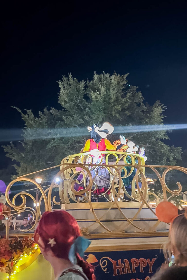 MNSSHP parade at night